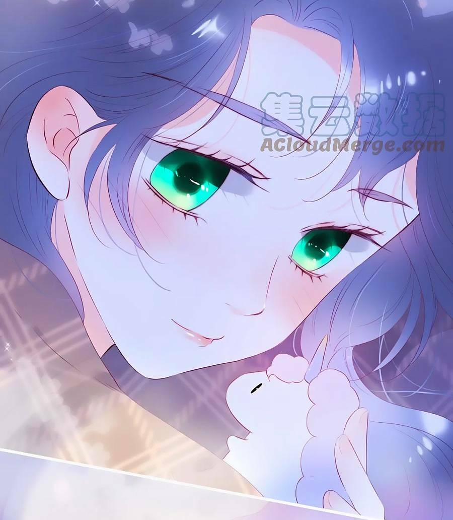 Hoa Bỏ Chạy Với Nhím Rồi 86 trang 3