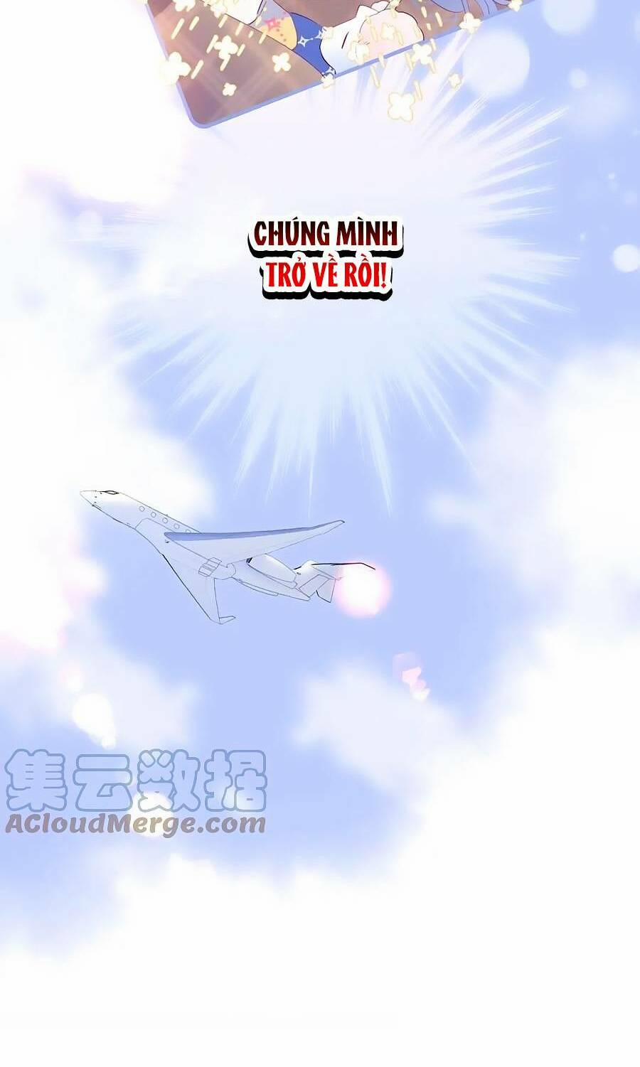 Hoa Bỏ Chạy Với Nhím Rồi 86 trang 8