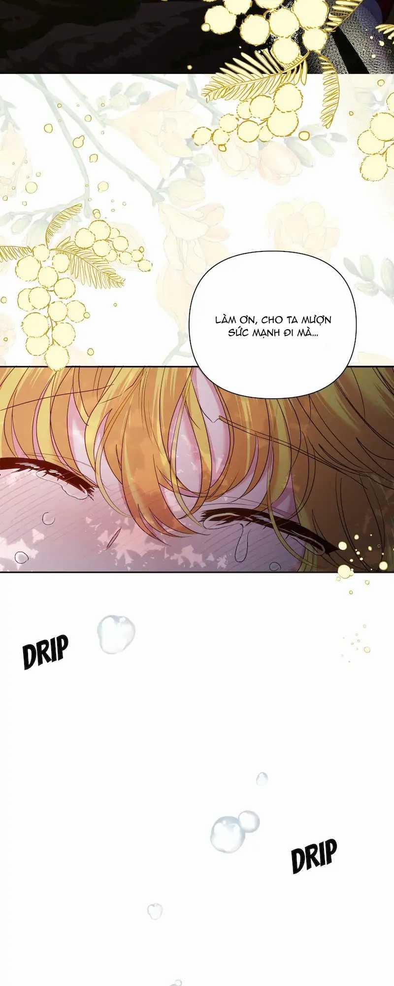 Hoa Cúc Trong Lồng 19.2 trang 23