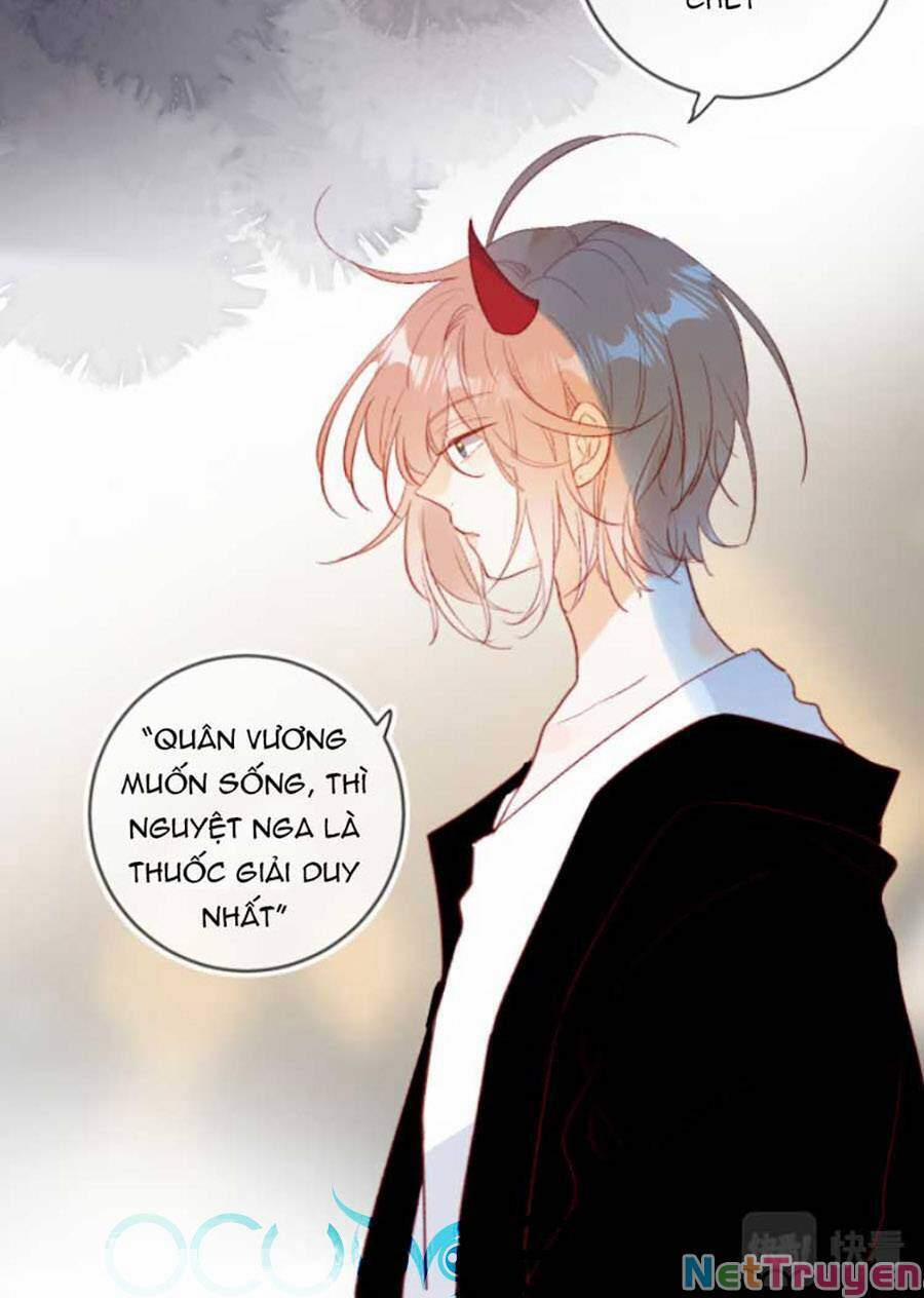 Hoa Dữ Ẩn Nặc Chi Ô 127 trang 14