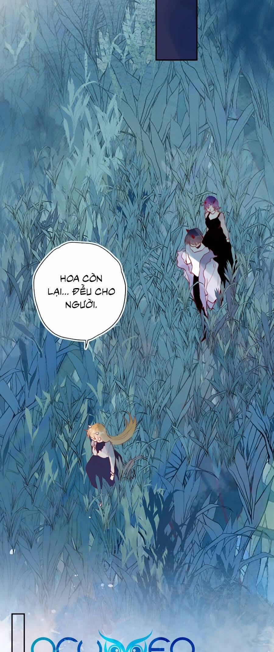 Hoa Dữ Ẩn Nặc Chi Ô 133 trang 16