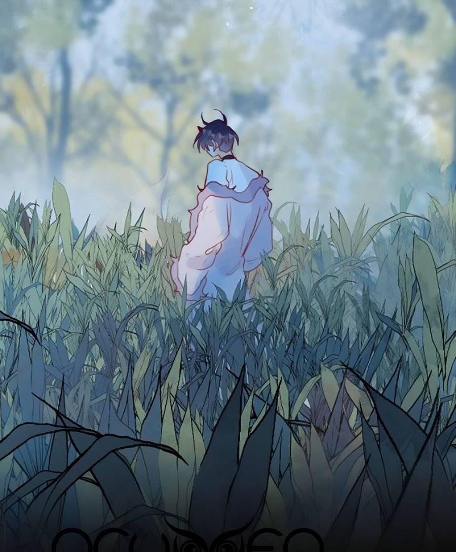 Hoa Dữ Ẩn Nặc Chi Ô 133 trang 19