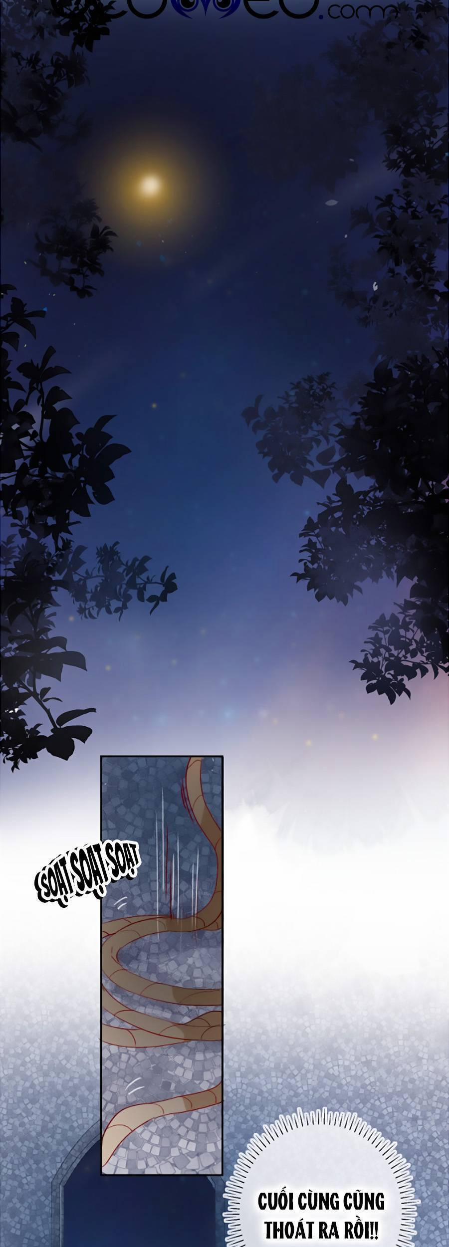 Hoa Dữ Ẩn Nặc Chi Ô 141 trang 15