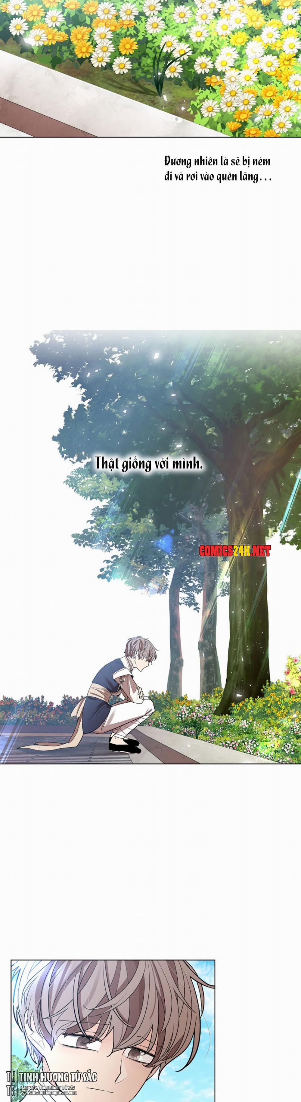 Hoa Giấy 12 trang 13