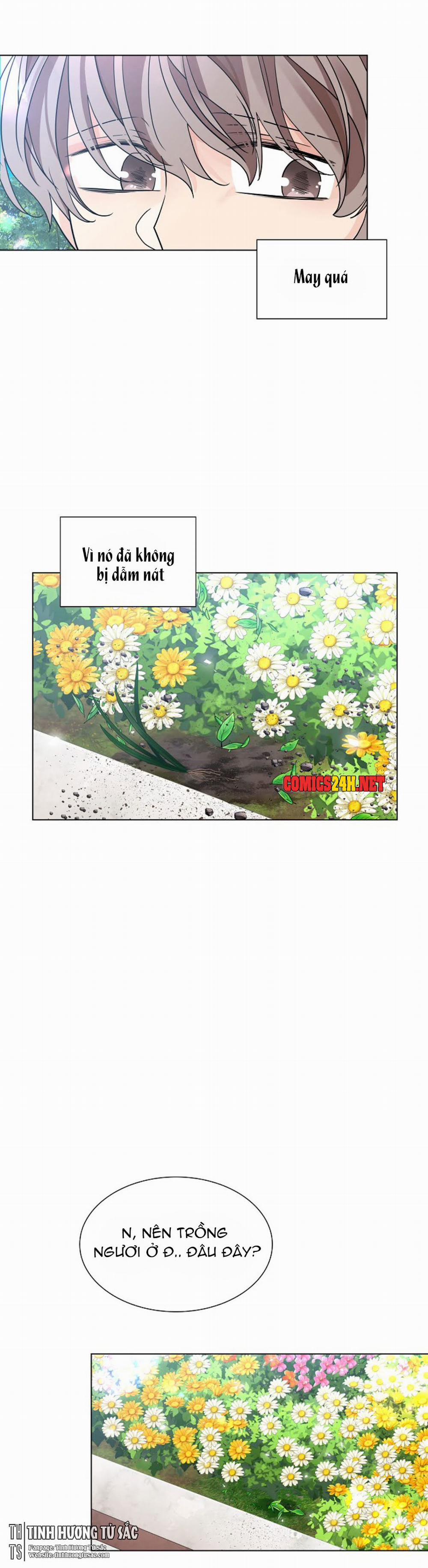 Hoa Giấy 12 trang 18