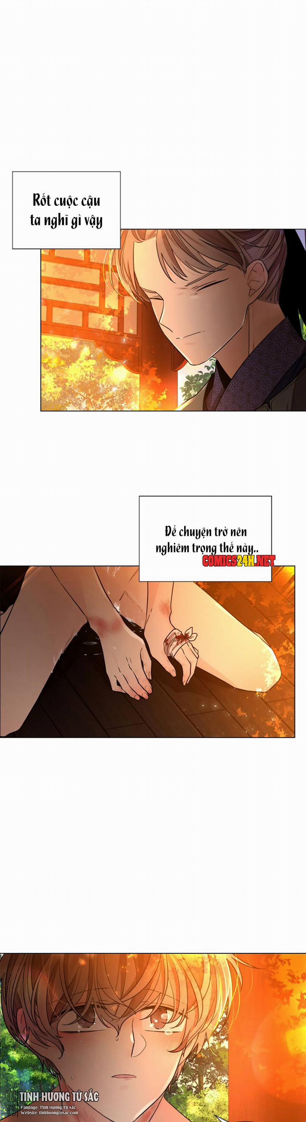 Hoa Giấy 12 trang 2