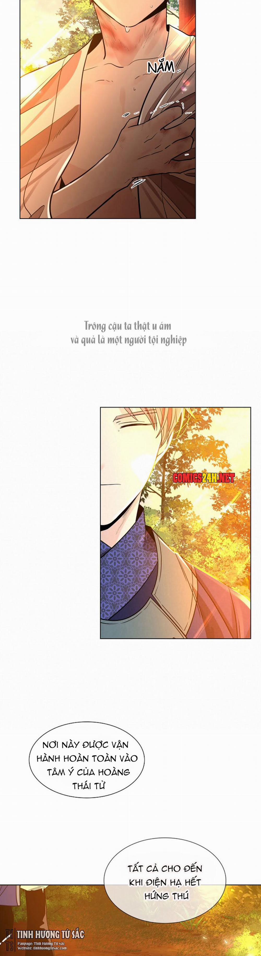 Hoa Giấy 12 trang 7