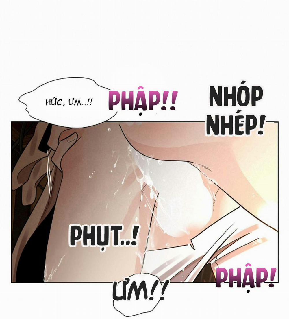 Hoa Giấy 16 trang 55