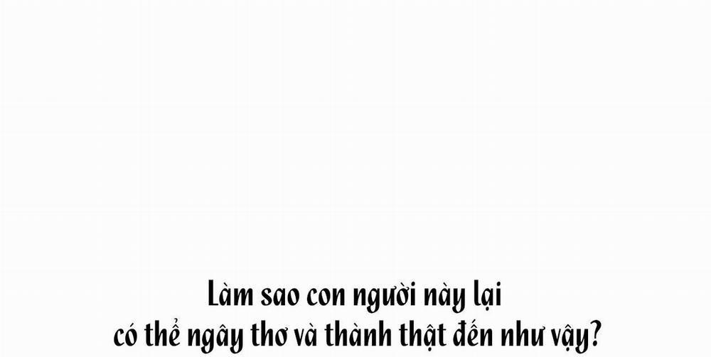 Hoa Giấy 17 trang 113