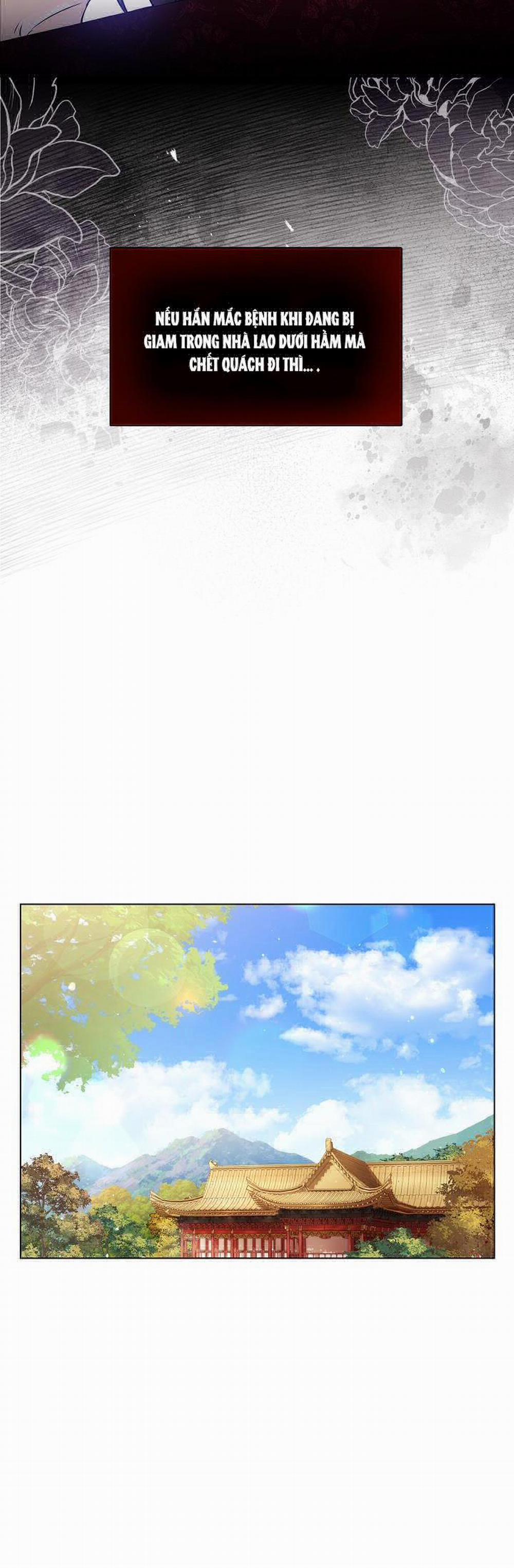 Hoa Giấy 24 trang 14