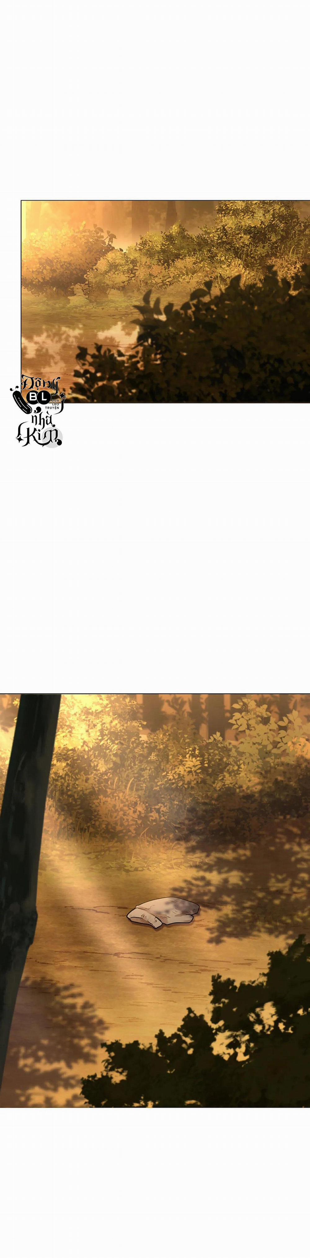 Hoa Giấy 26 trang 17