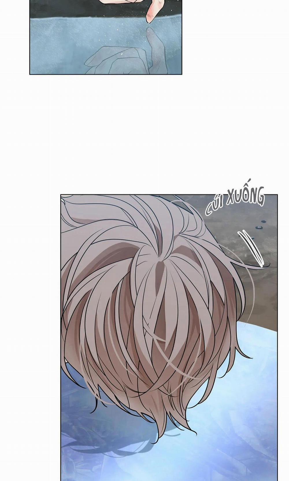 Hoa Giấy 28 trang 7