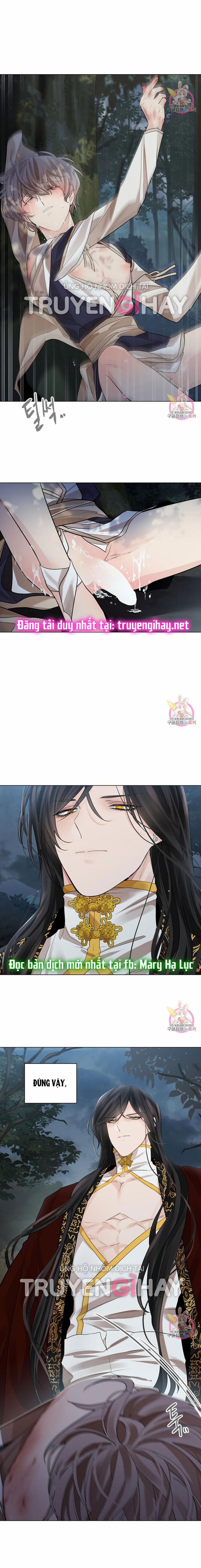 Hoa Giấy 29.2 trang 7