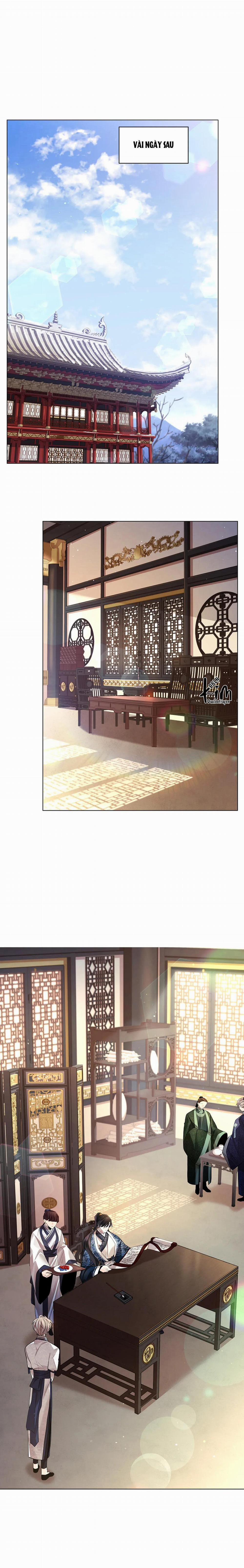 Hoa Giấy 51 trang 17