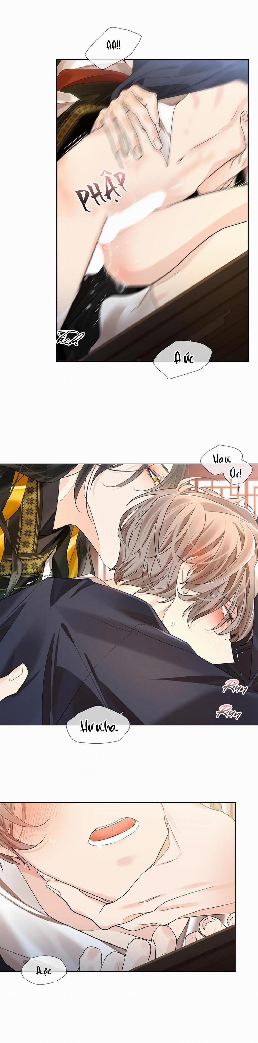 Hoa Giấy 51 trang 6