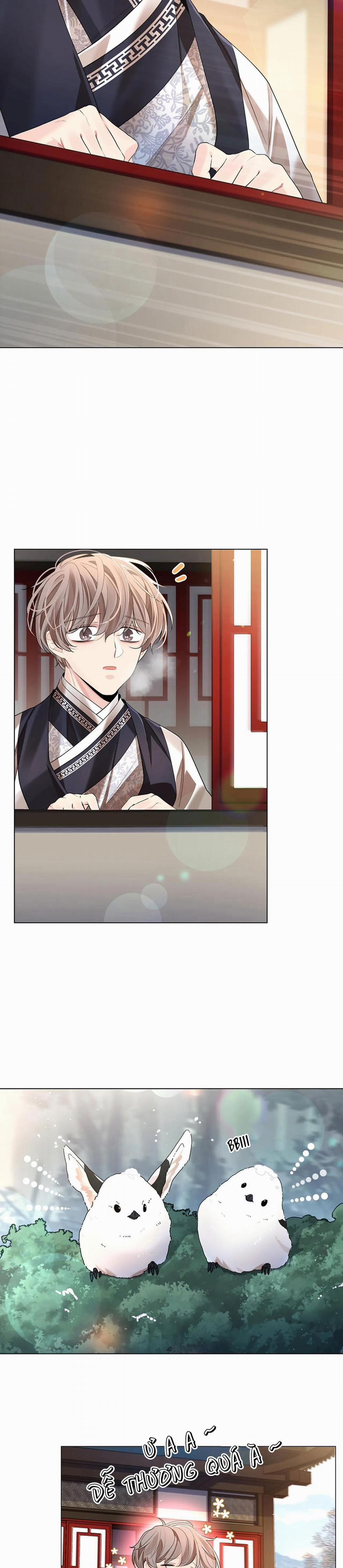 Hoa Giấy 52 trang 5