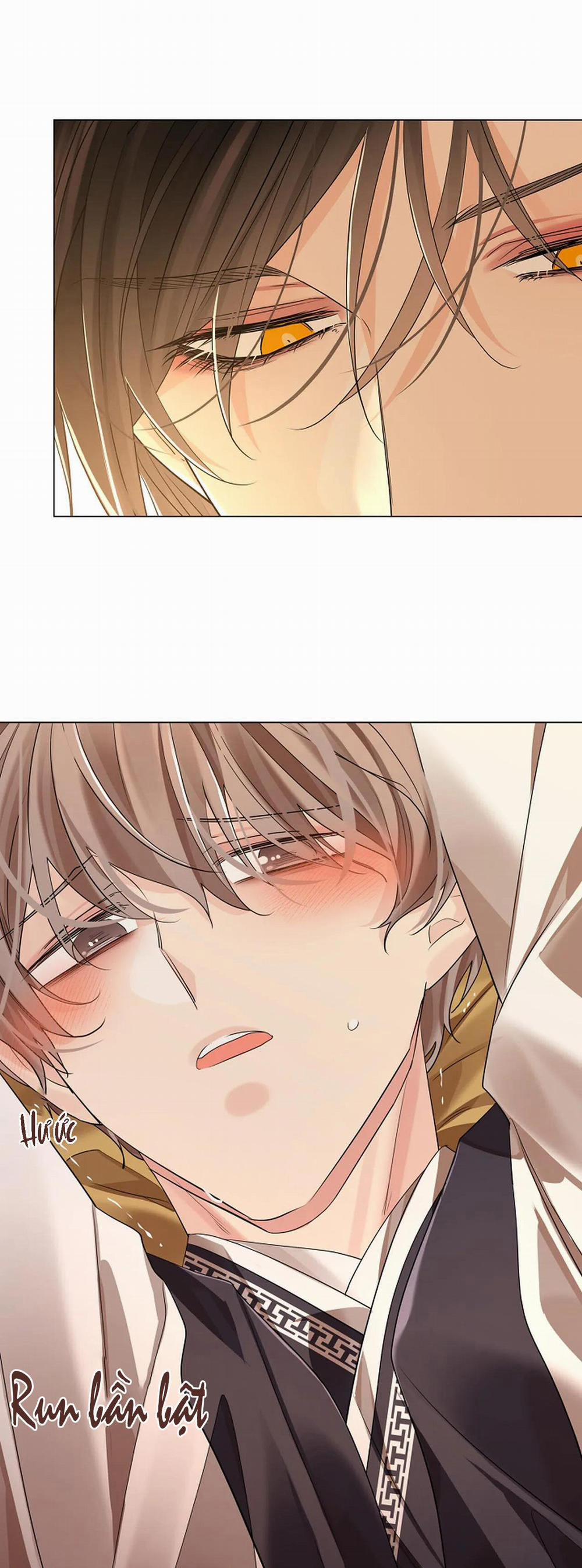 Hoa Giấy 54 trang 41