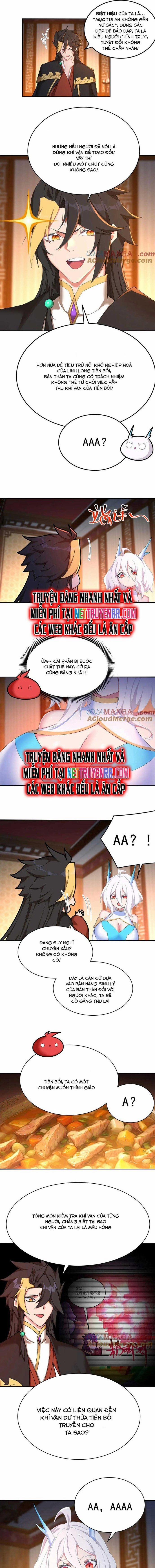 Hóa Ra Các Cô Ấy Mới Là Nhân Vật Chính 41 trang 6