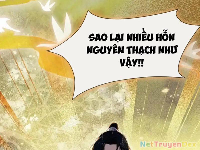 Hoá Ra Ta Đã Vô Địch Từ Lâu Chương 225 Trang 11