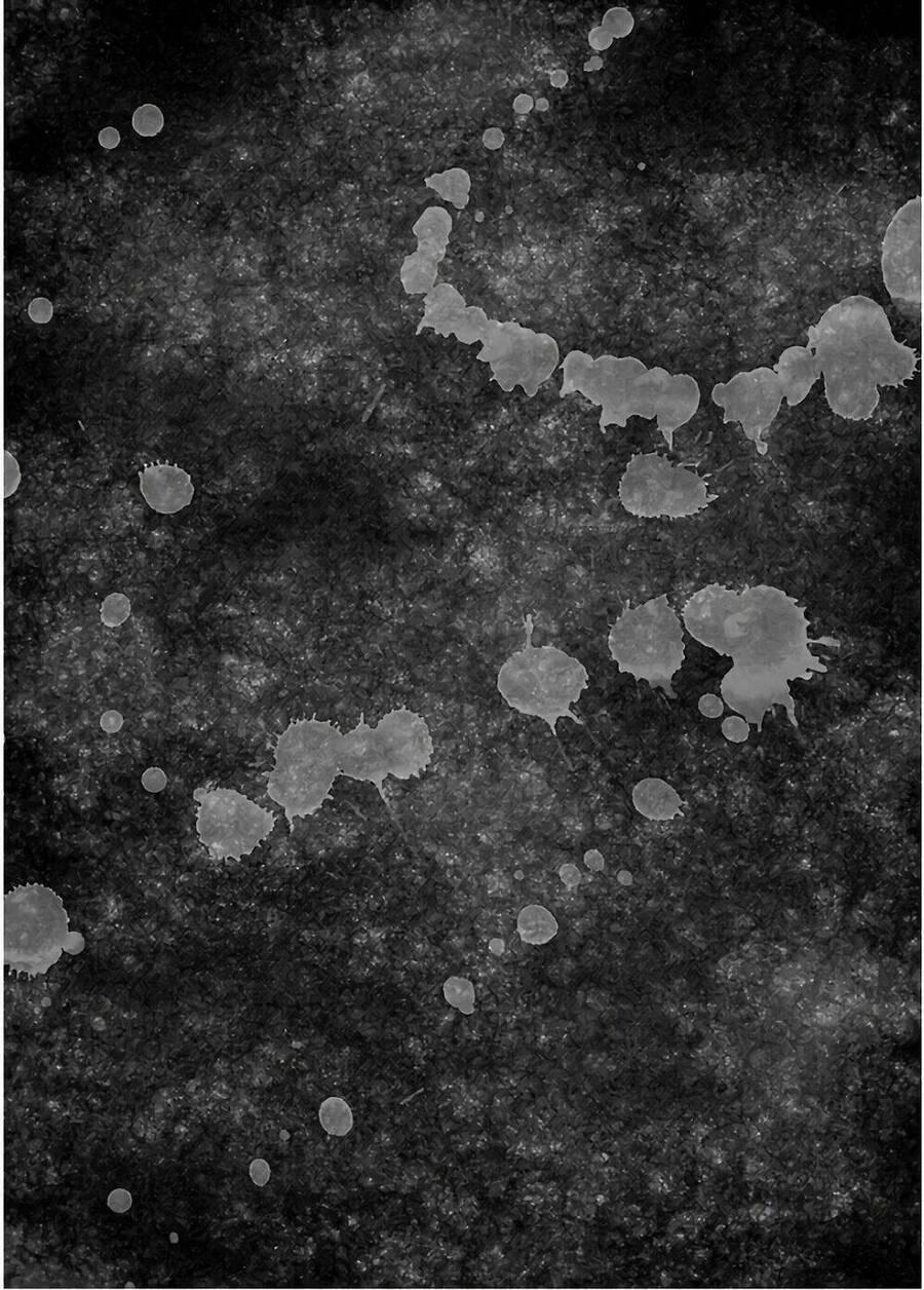 Họa Sĩ Sát Nhân 52 trang 27