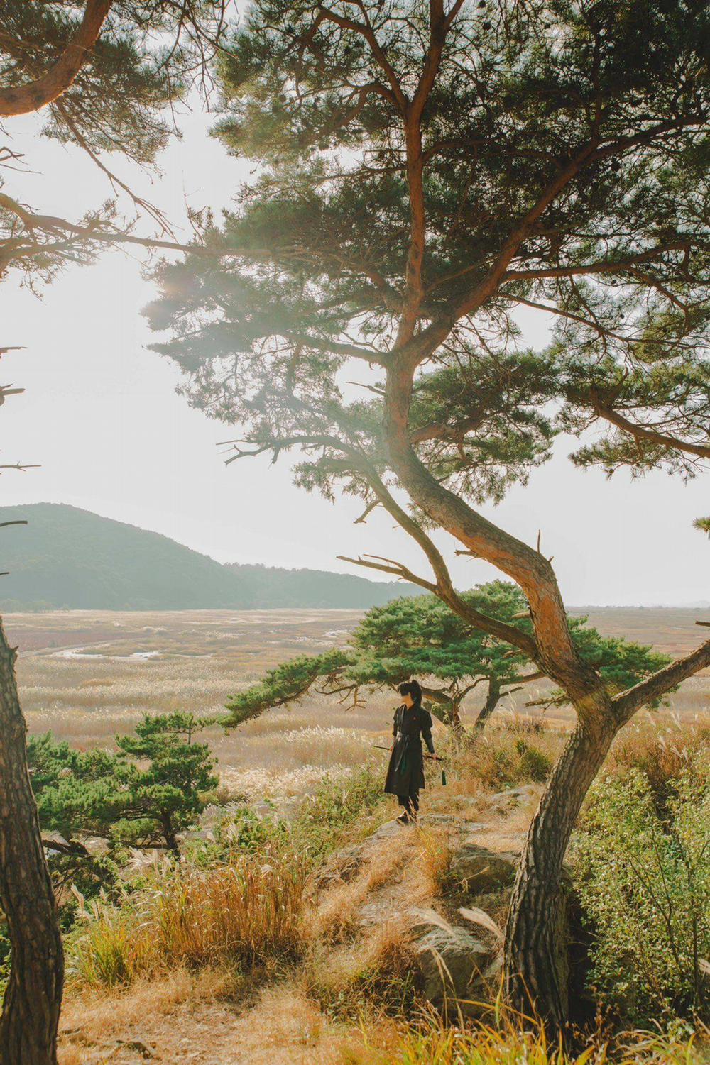 Hoa Sơn Tái Khởi 51.5 trang 24