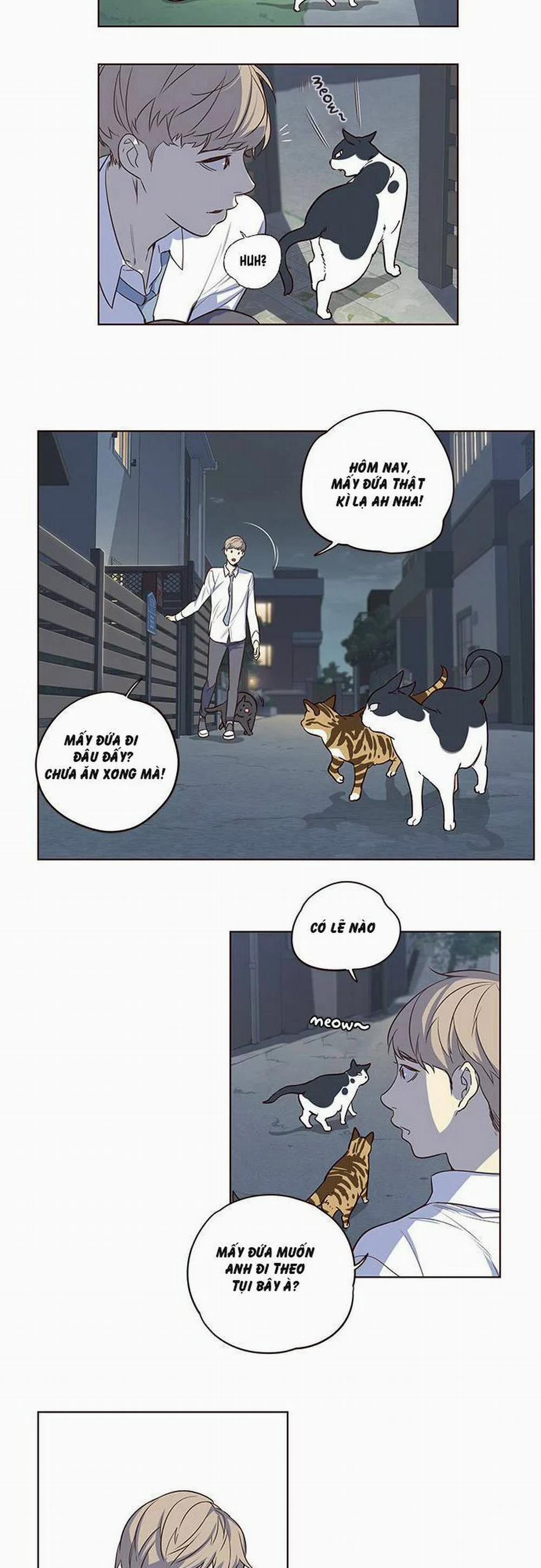 Hóa Thân Thành Mèo 1 trang 21