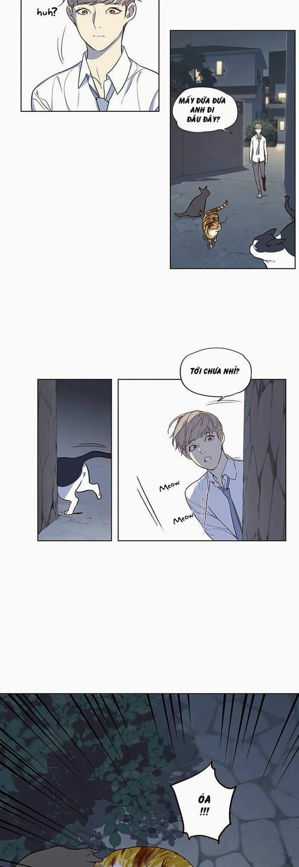 Hóa Thân Thành Mèo 1 trang 22