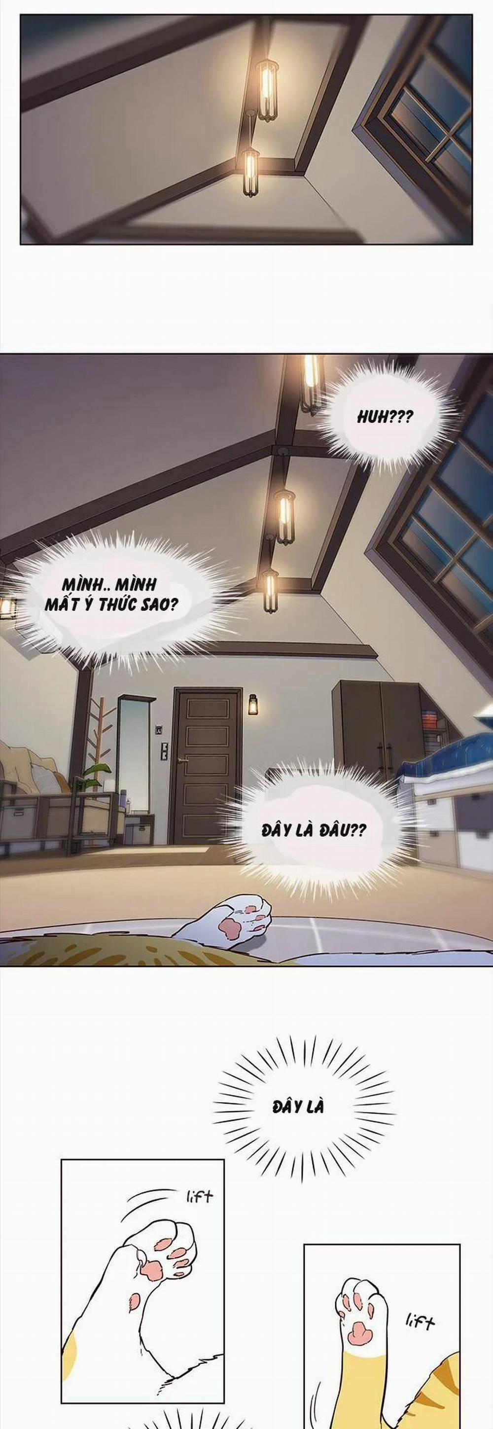 Hóa Thân Thành Mèo 1 trang 24