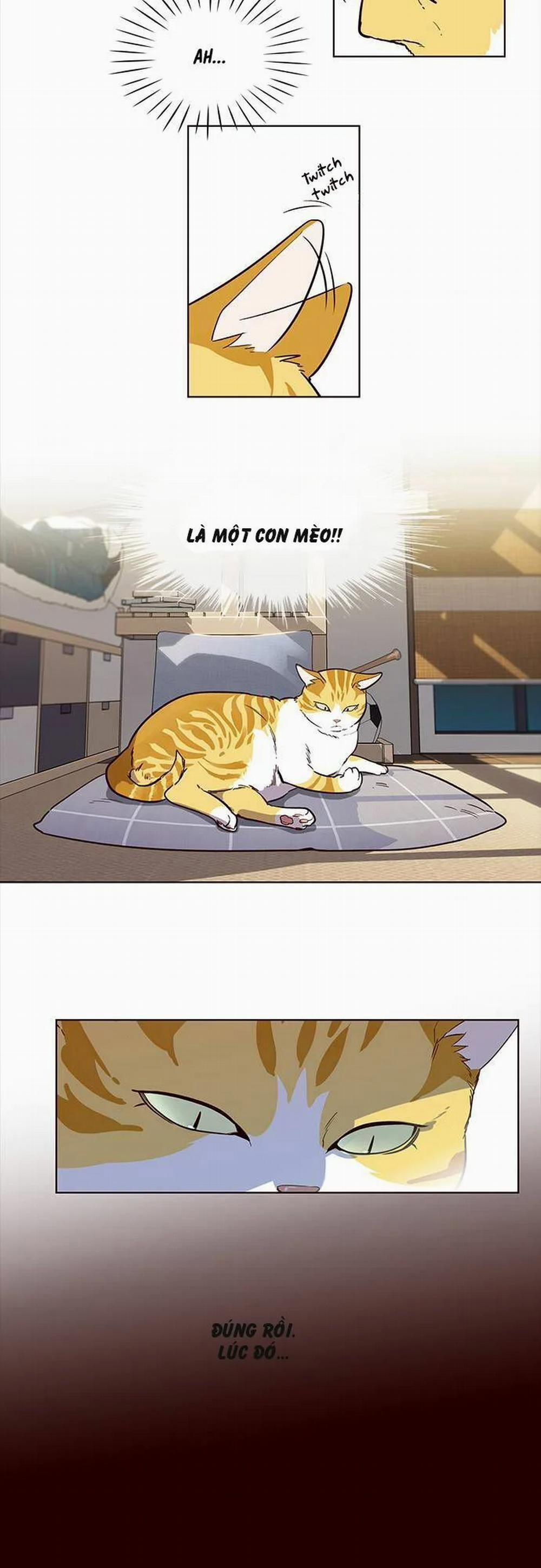 Hóa Thân Thành Mèo 1 trang 25