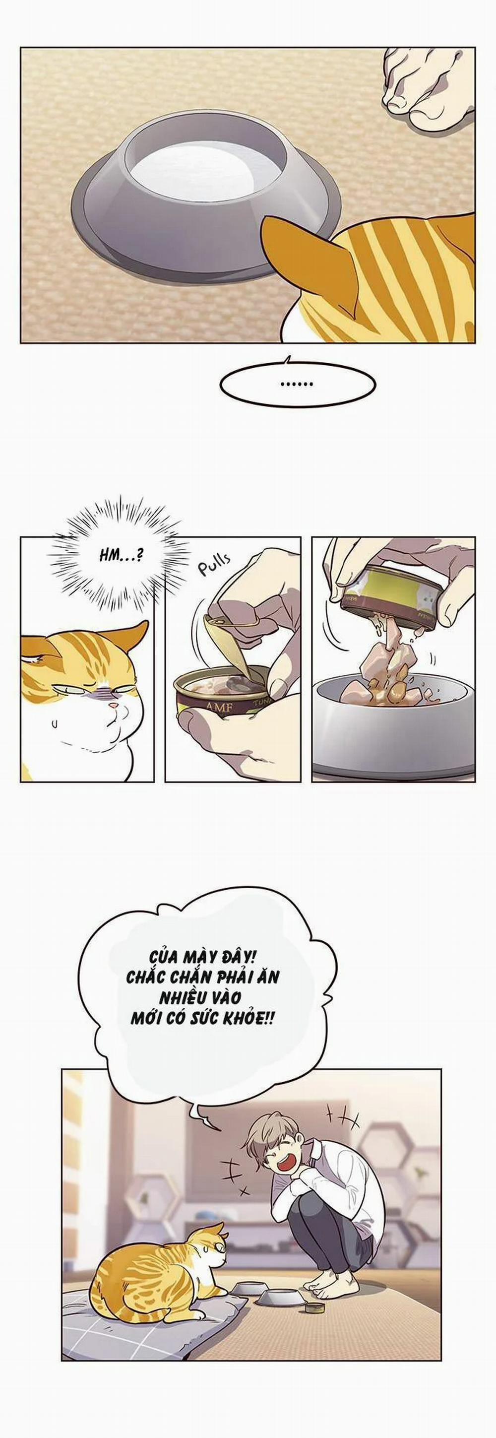 Hóa Thân Thành Mèo 1 trang 32