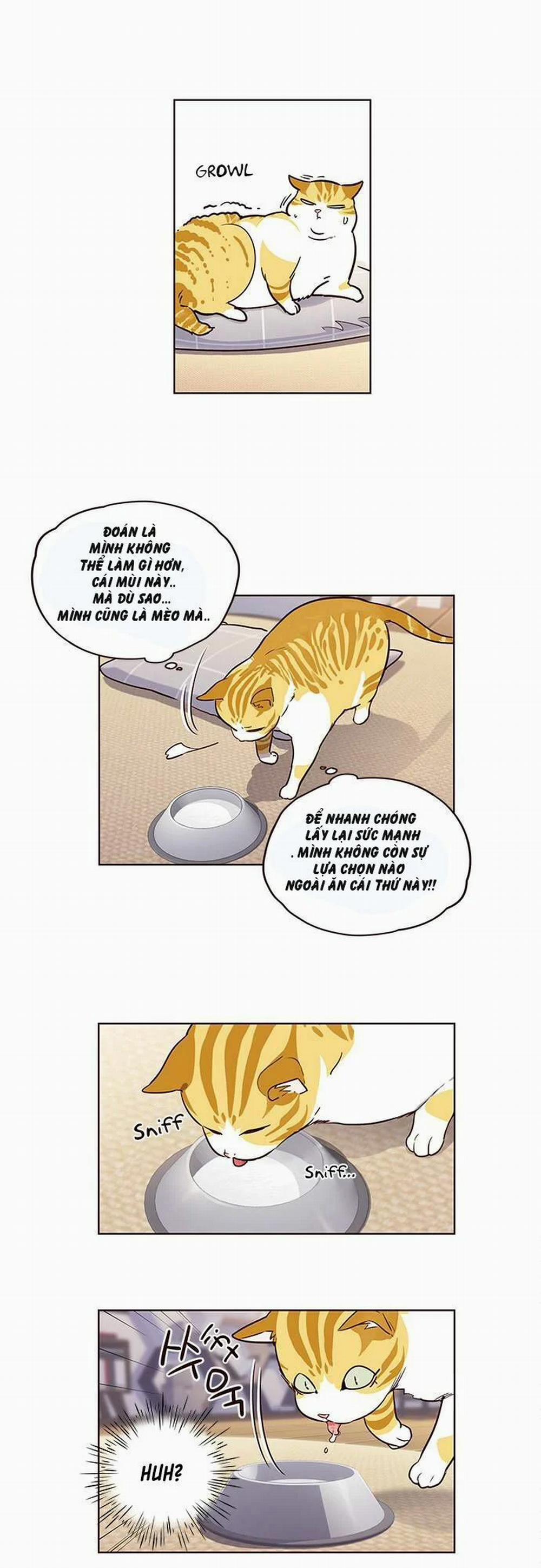Hóa Thân Thành Mèo 1 trang 34