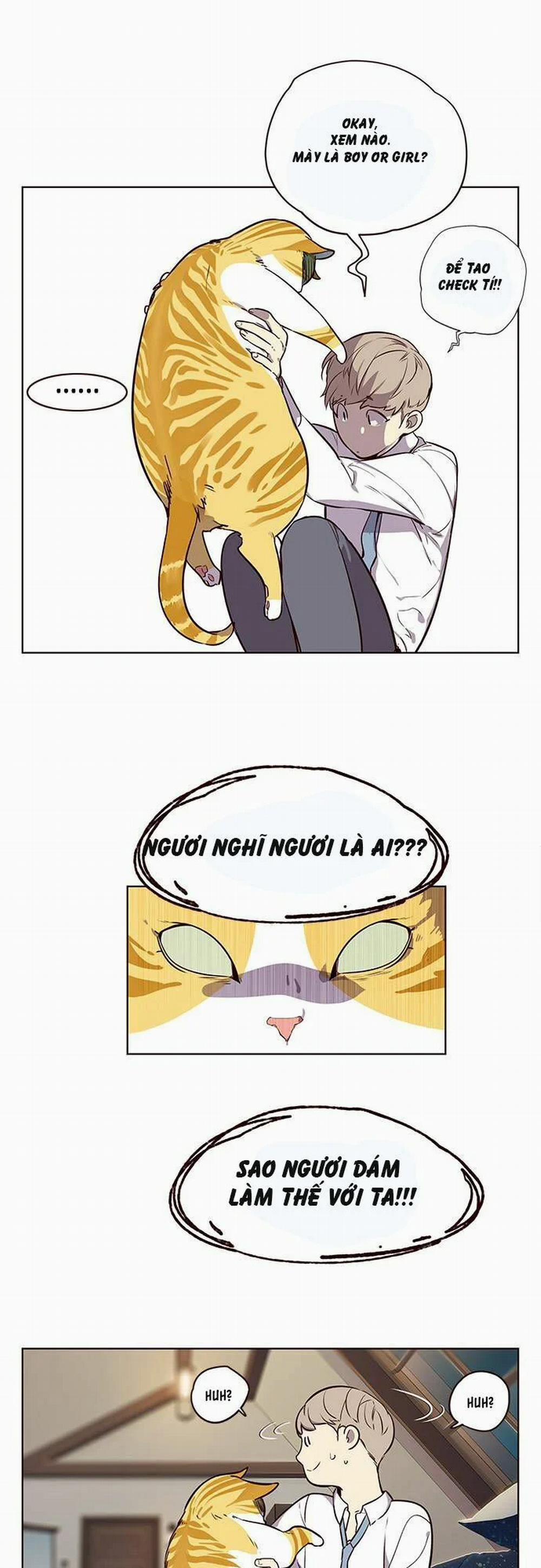 Hóa Thân Thành Mèo 1 trang 35