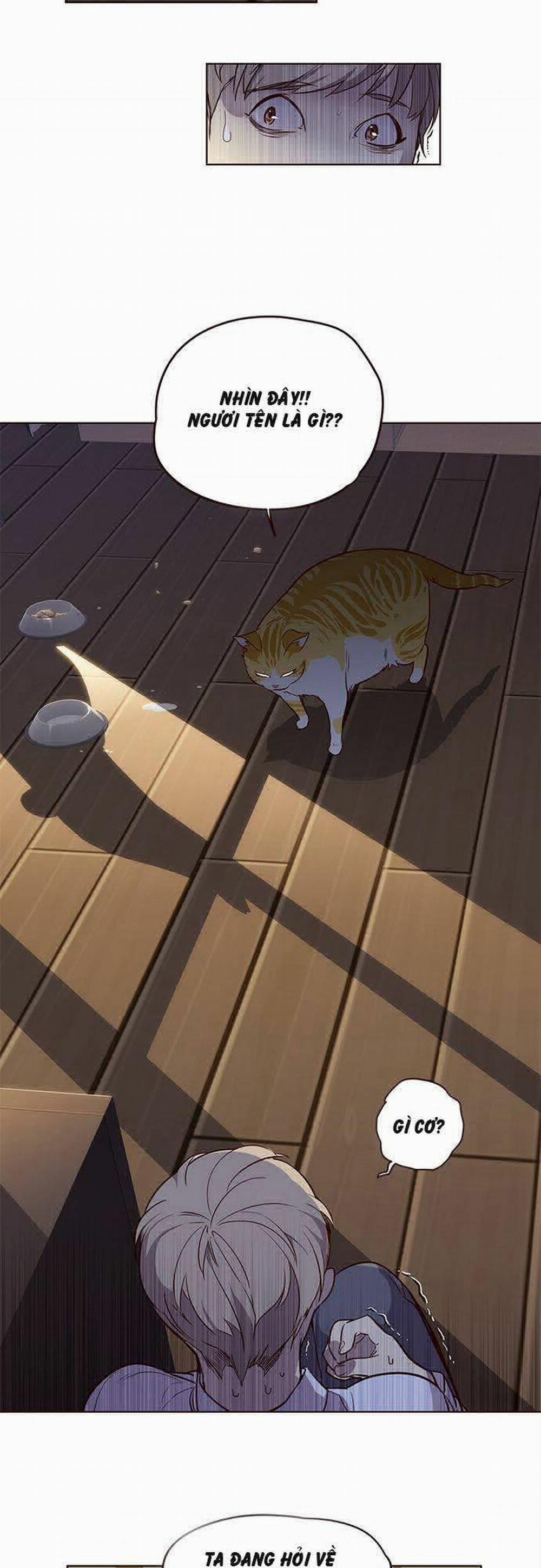 Hóa Thân Thành Mèo 1 trang 39