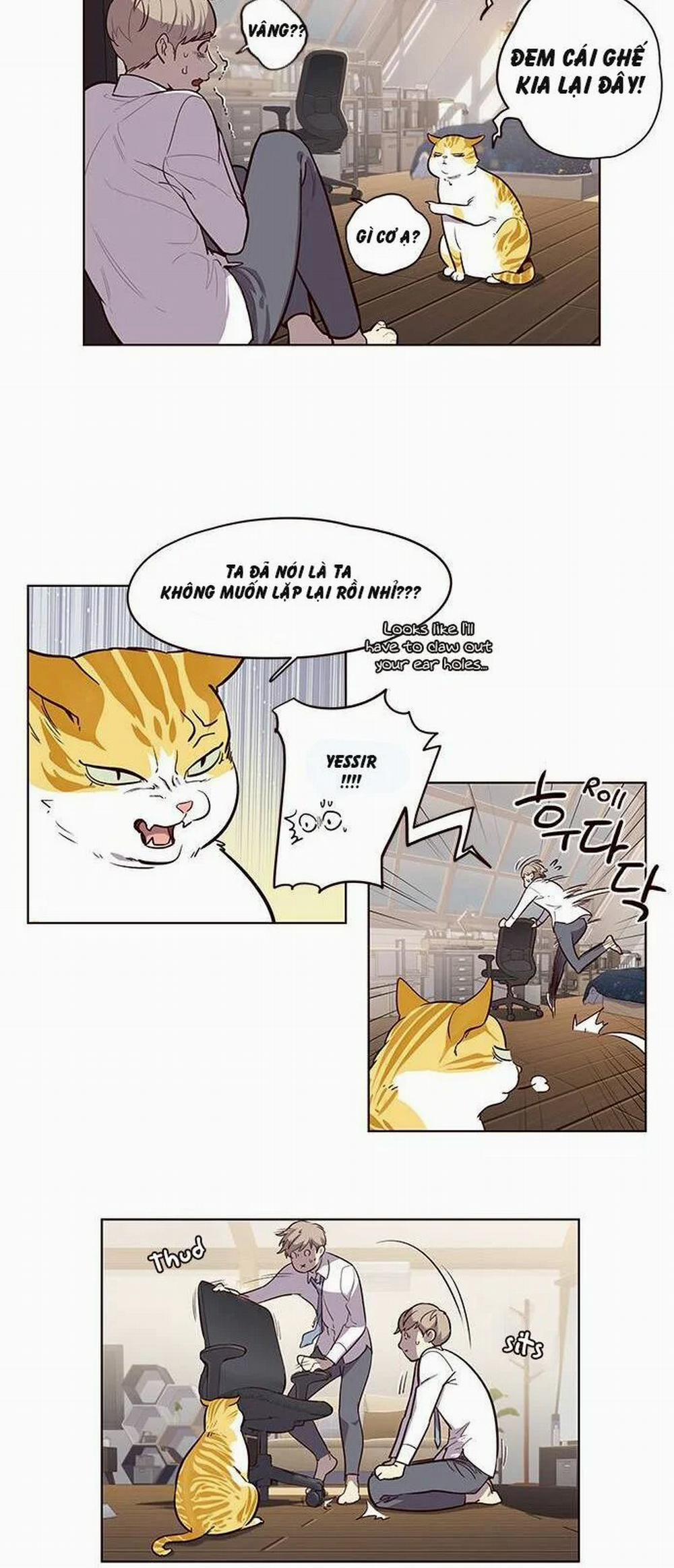 Hóa Thân Thành Mèo 1 trang 41