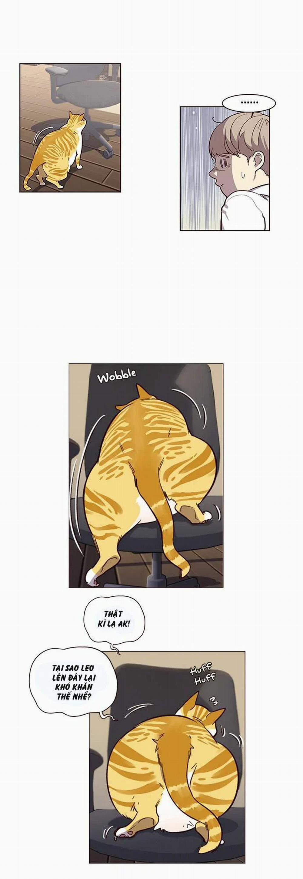 Hóa Thân Thành Mèo 1 trang 42