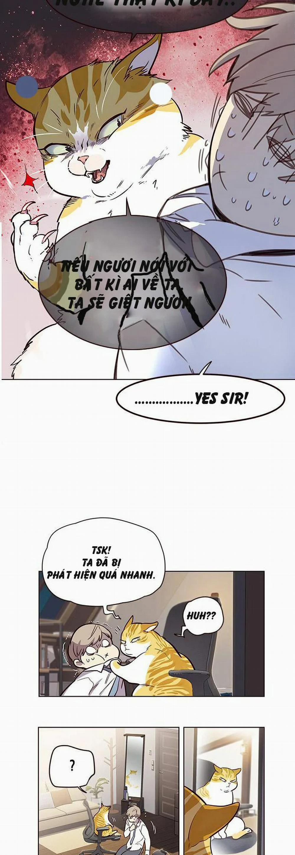 Hóa Thân Thành Mèo 1 trang 44