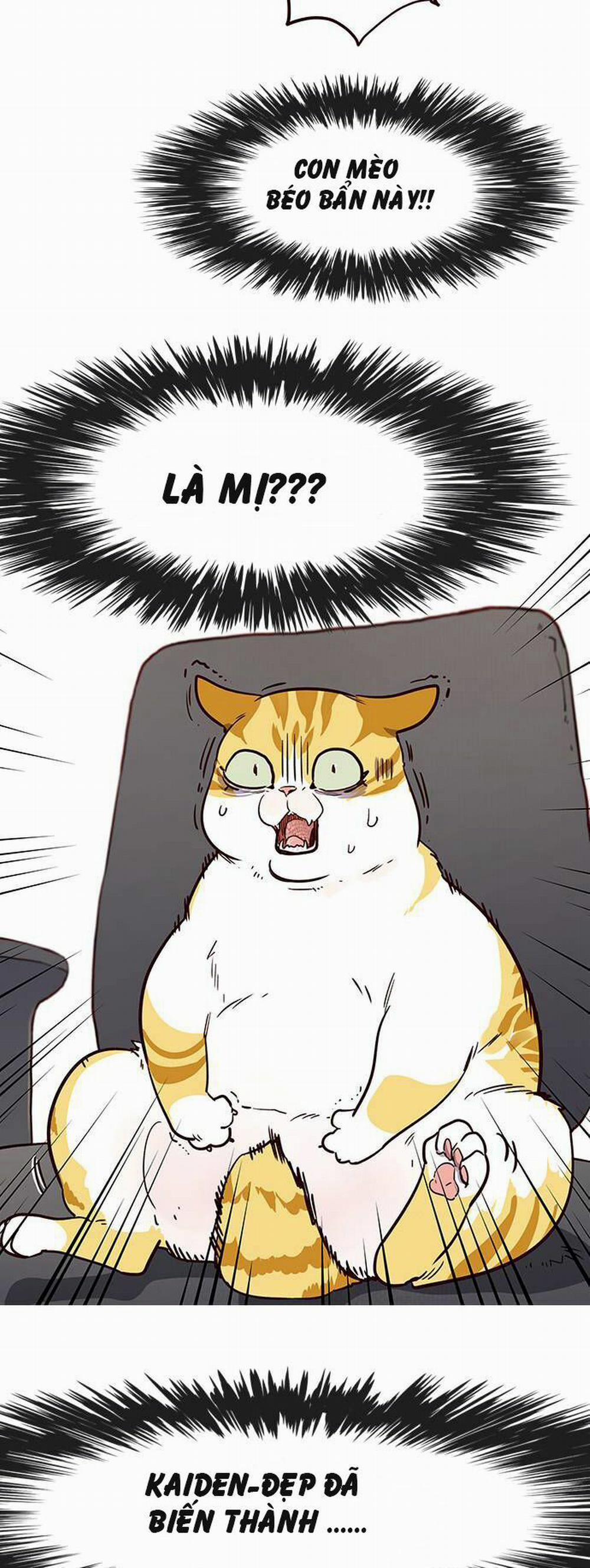 Hóa Thân Thành Mèo 1 trang 46