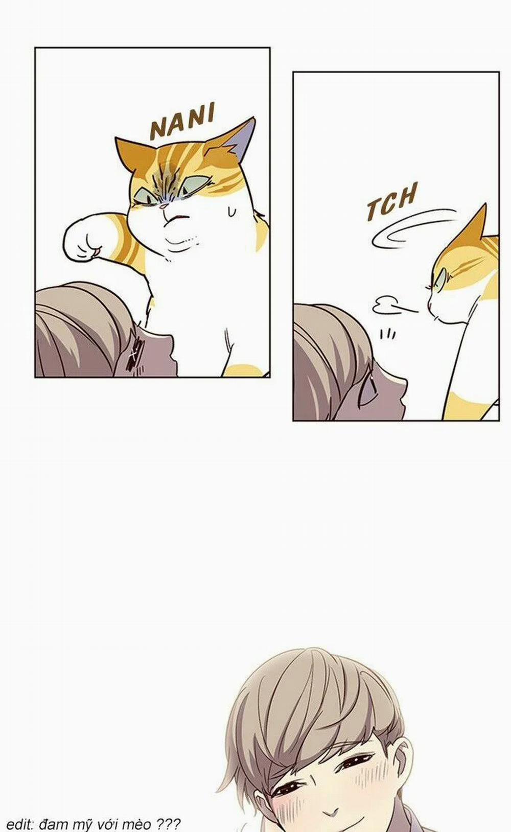 Hóa Thân Thành Mèo 10 trang 11