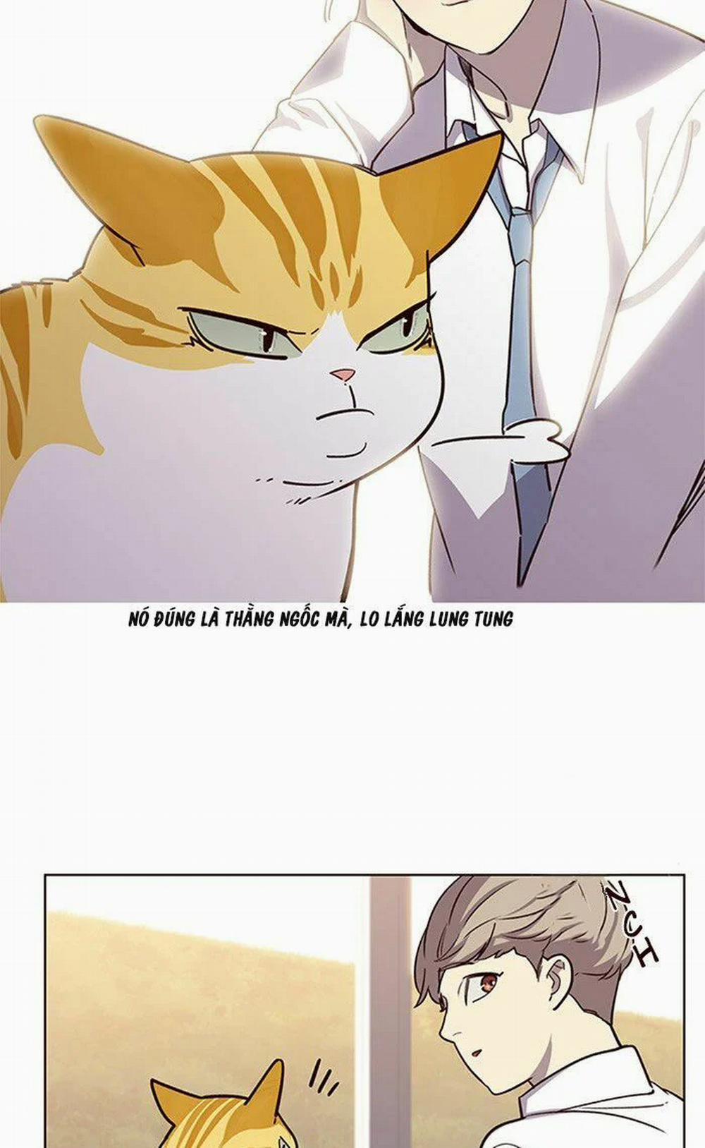 Hóa Thân Thành Mèo 10 trang 12