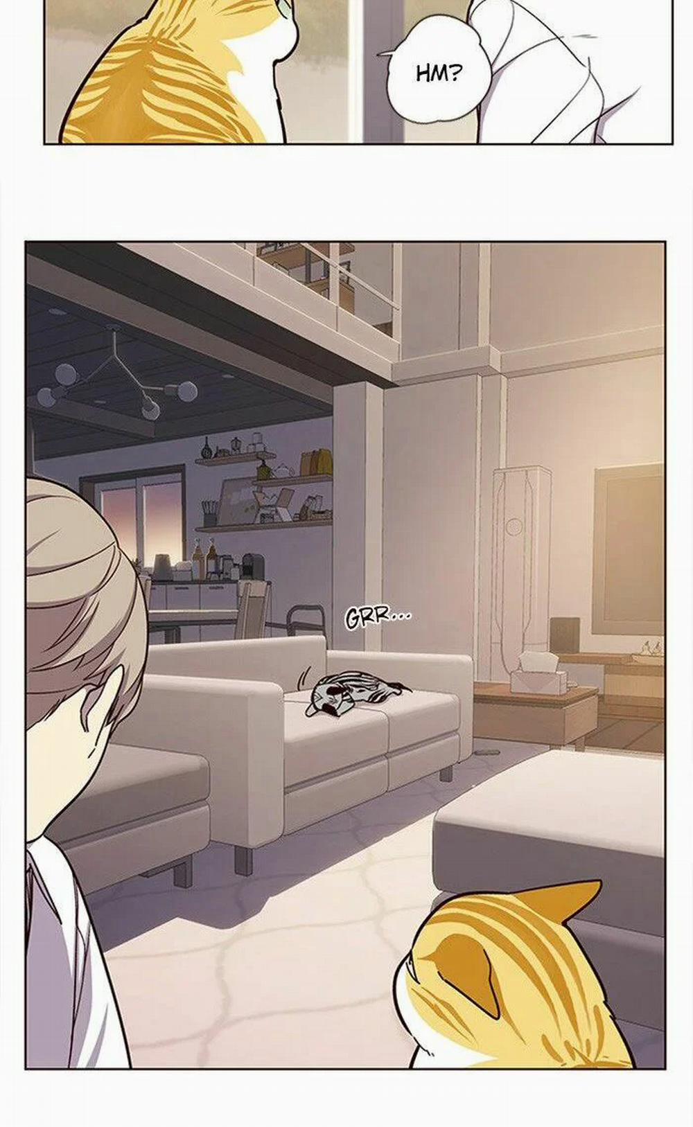 Hóa Thân Thành Mèo 10 trang 13