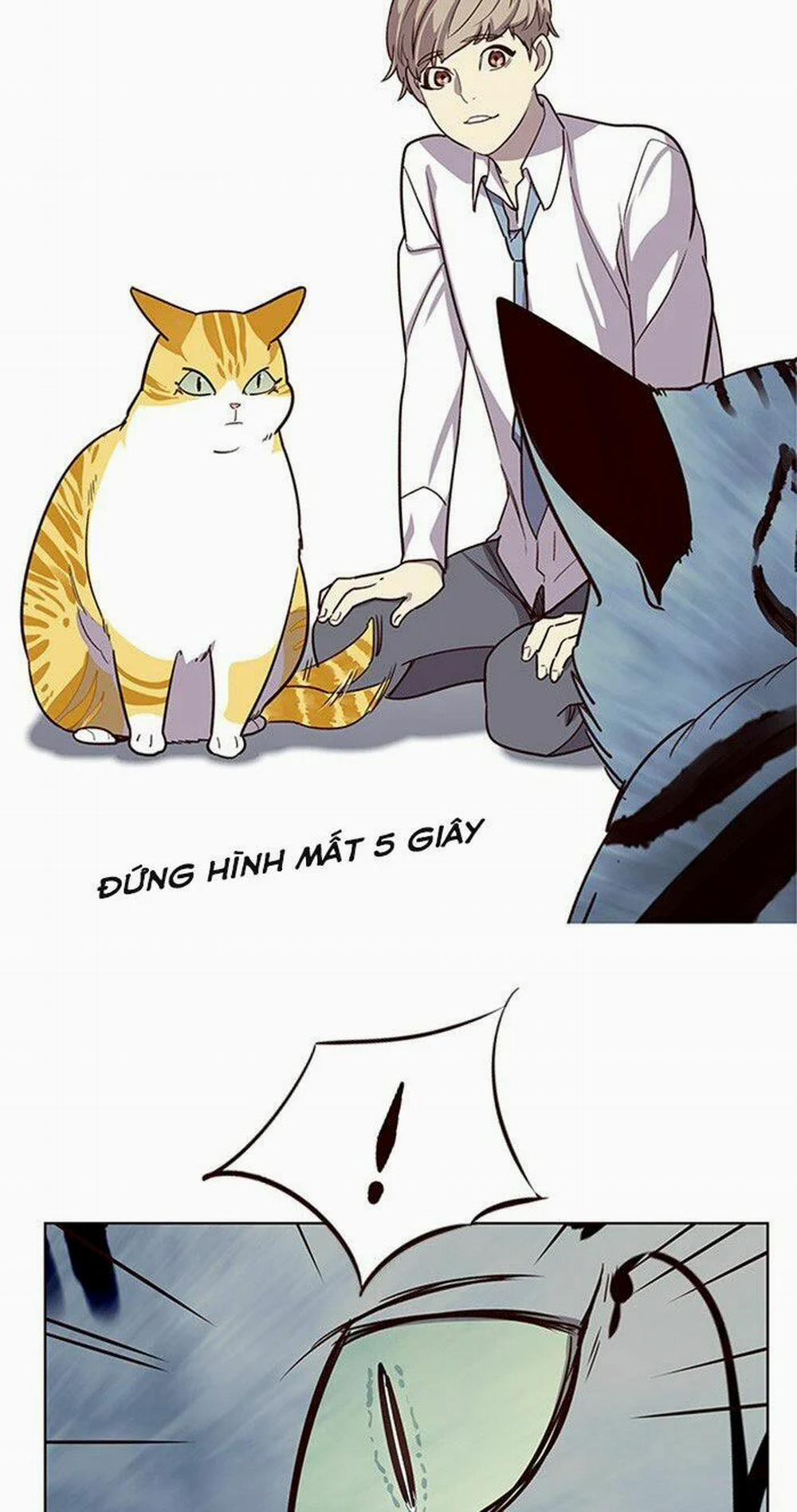 Hóa Thân Thành Mèo 10 trang 15