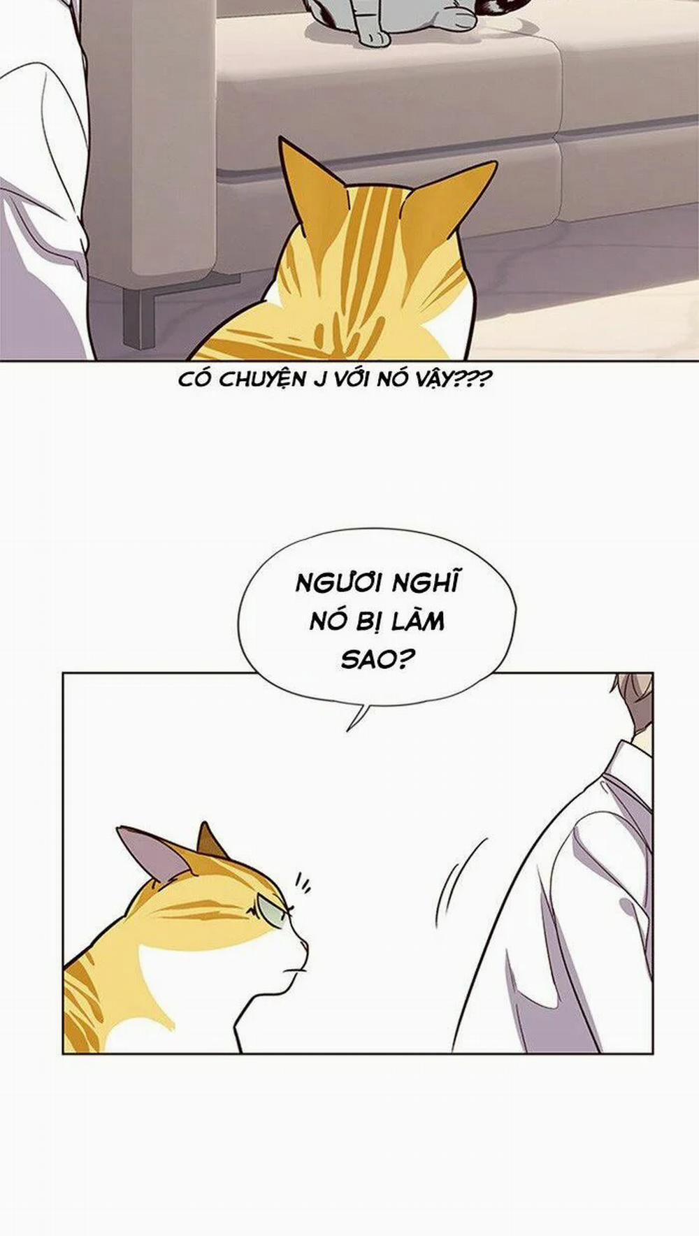 Hóa Thân Thành Mèo 10 trang 21