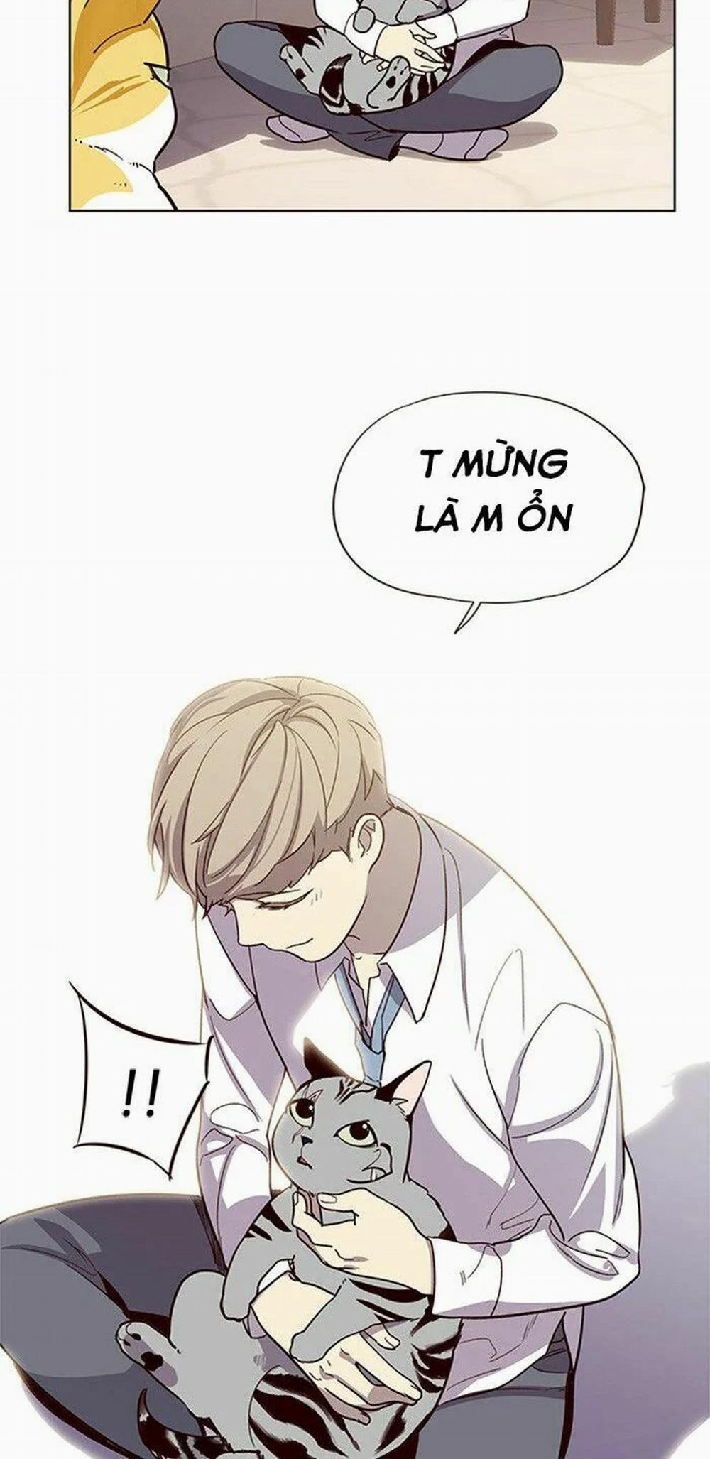 Hóa Thân Thành Mèo 10 trang 23