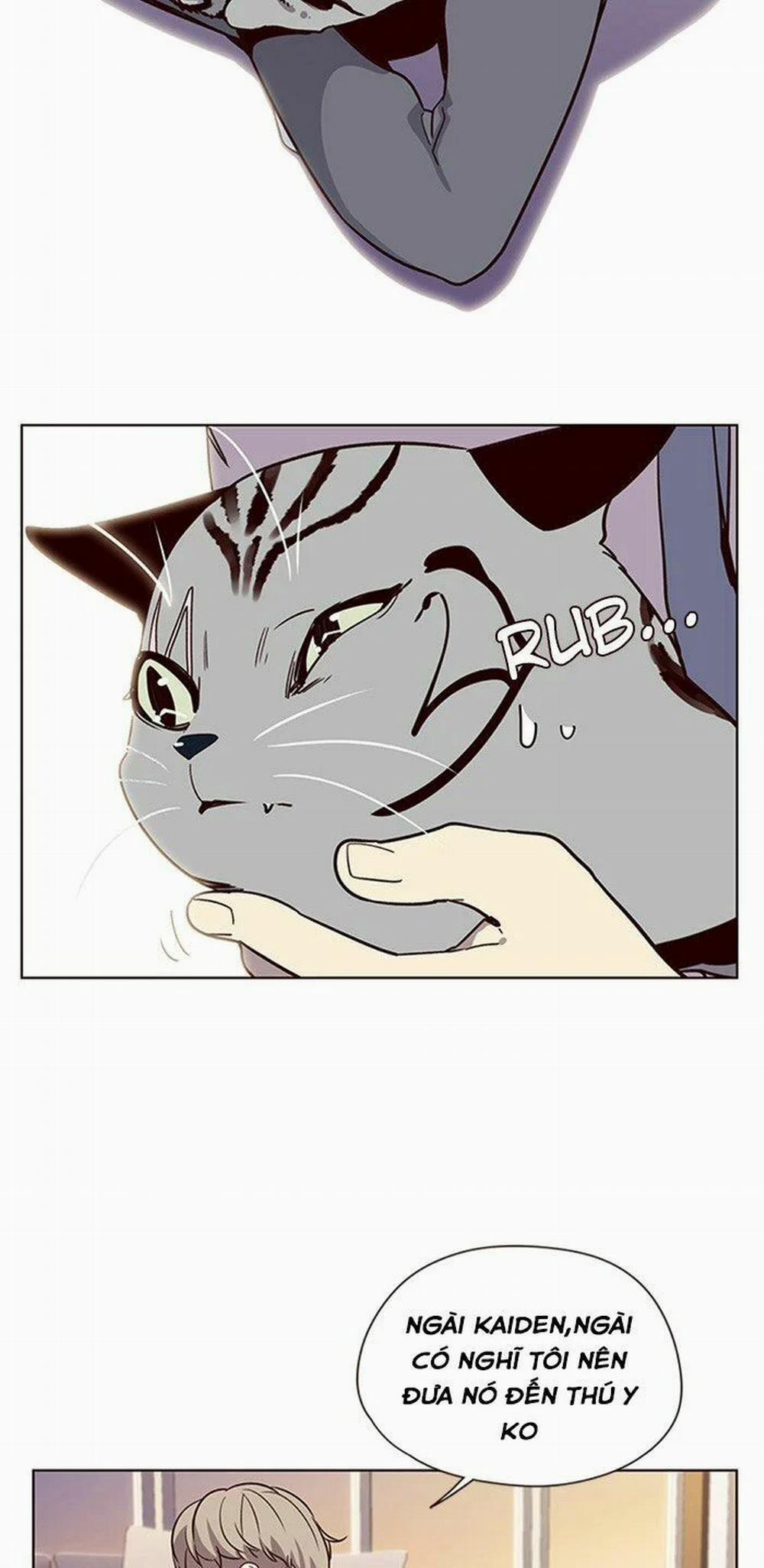 Hóa Thân Thành Mèo 10 trang 24