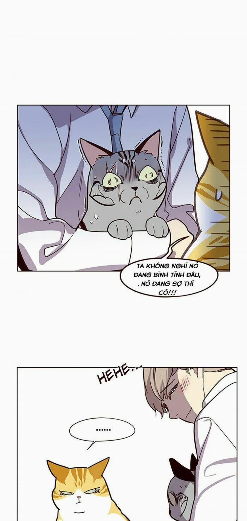 Hóa Thân Thành Mèo 10 trang 26