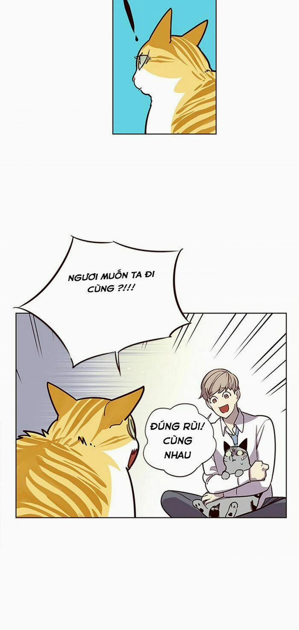 Hóa Thân Thành Mèo 10 trang 28