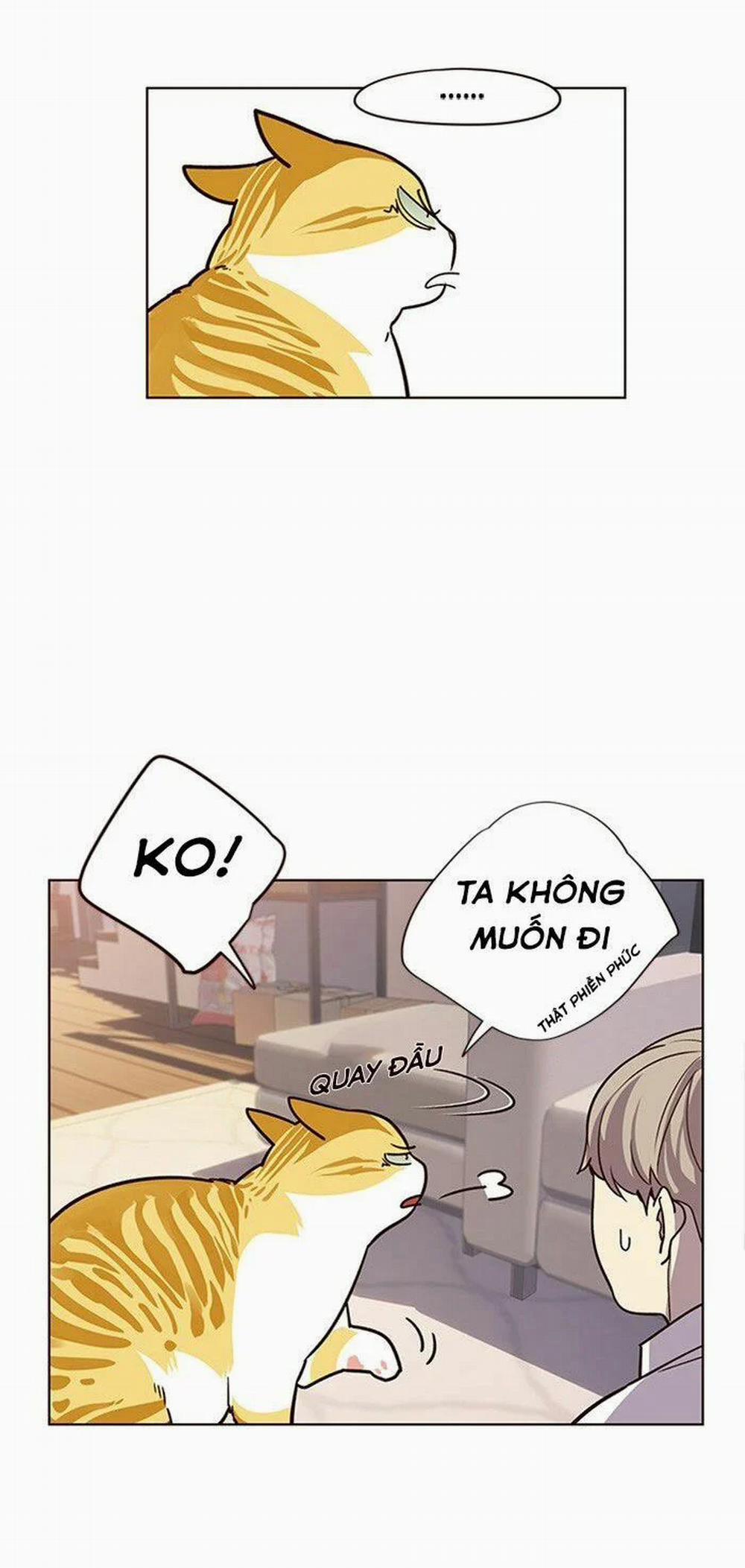 Hóa Thân Thành Mèo 10 trang 29