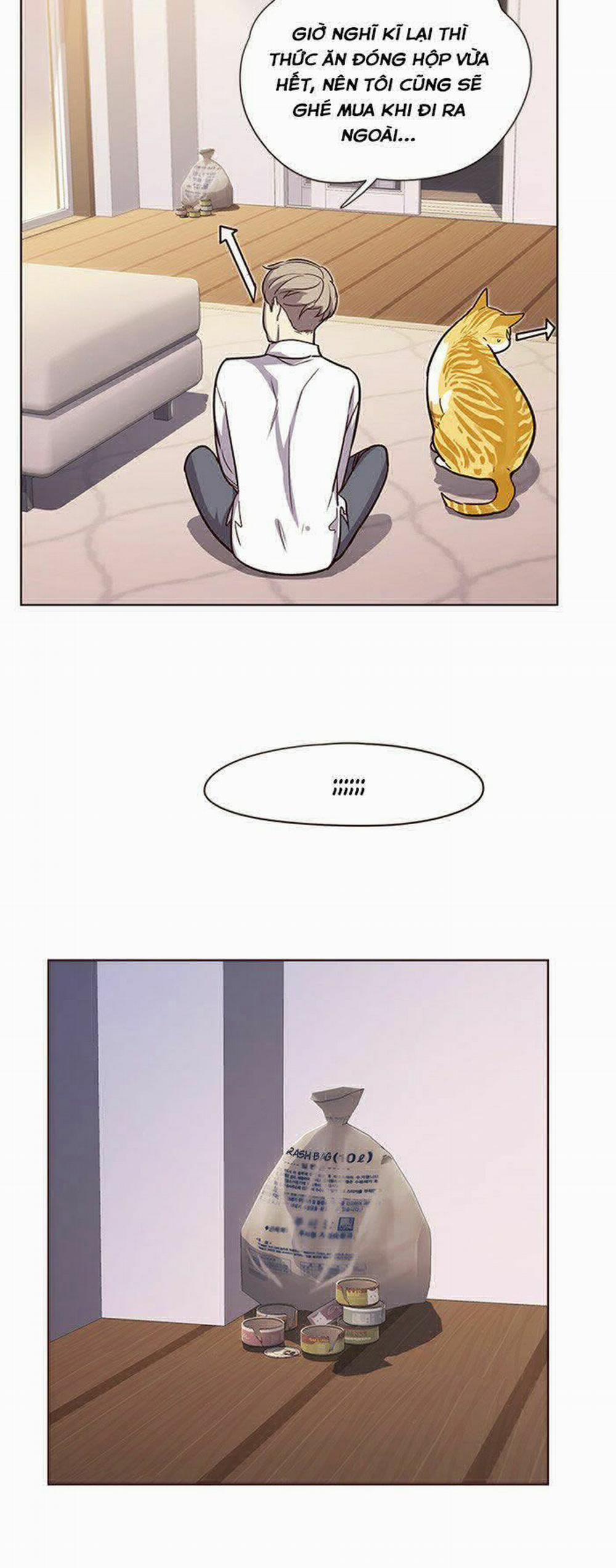 Hóa Thân Thành Mèo 10 trang 31