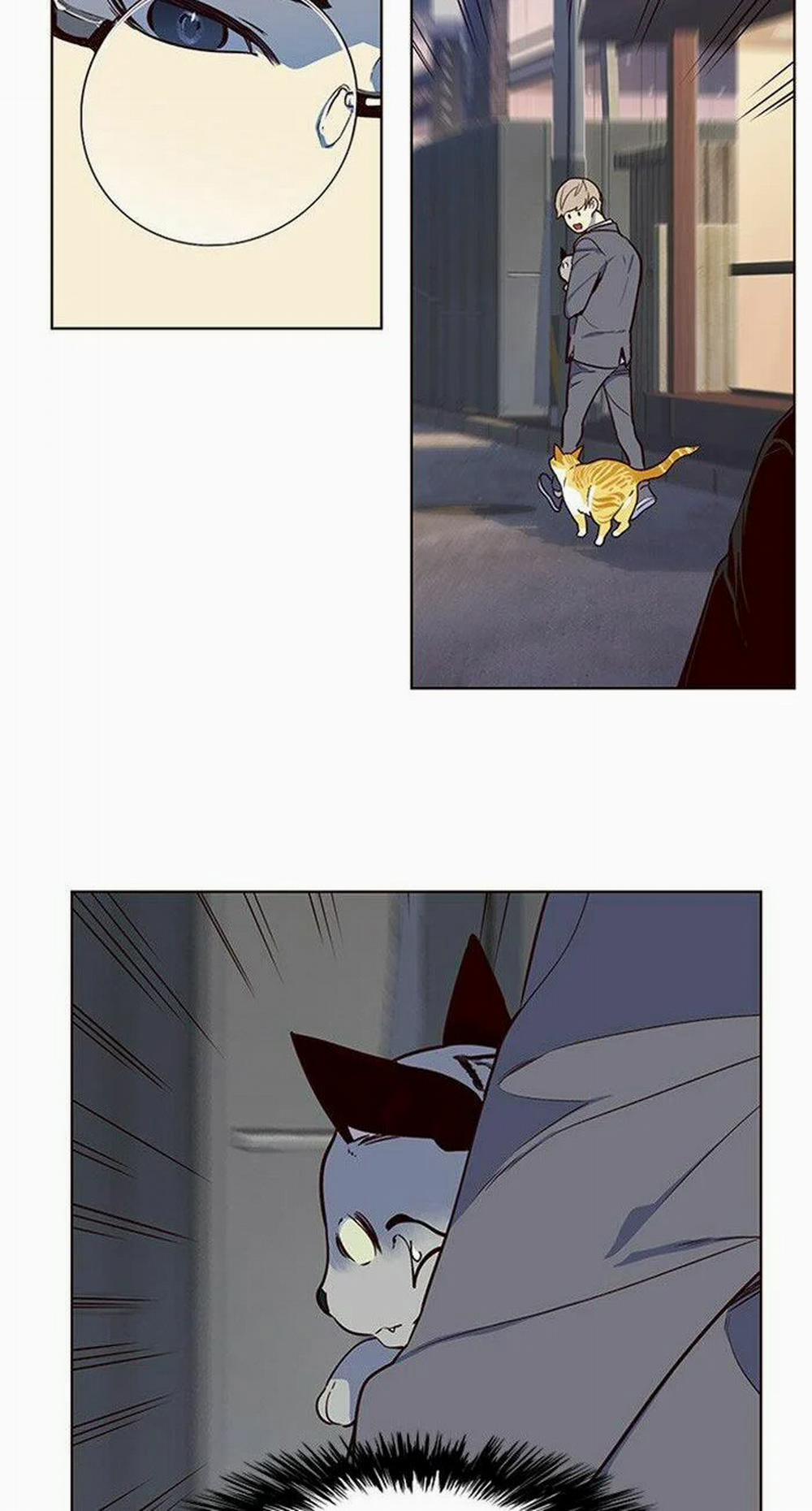 Hóa Thân Thành Mèo 10 trang 37