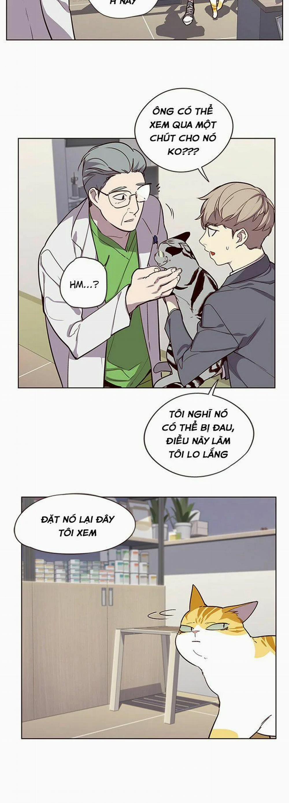 Hóa Thân Thành Mèo 10 trang 41